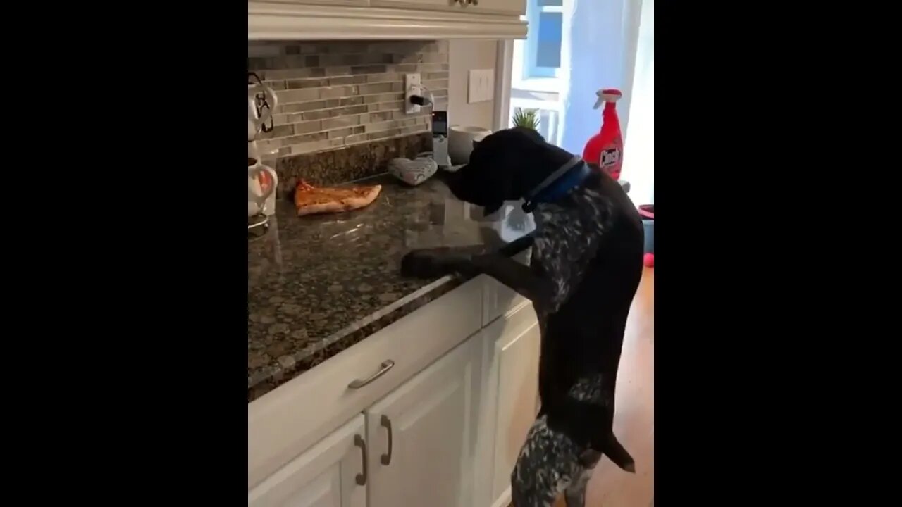 New Years Resolution Be Damned. I want that pizza!