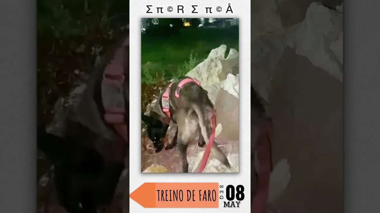 ∑ π © R ∑ π © Å: TREINO DE FARO (08.05.2023)