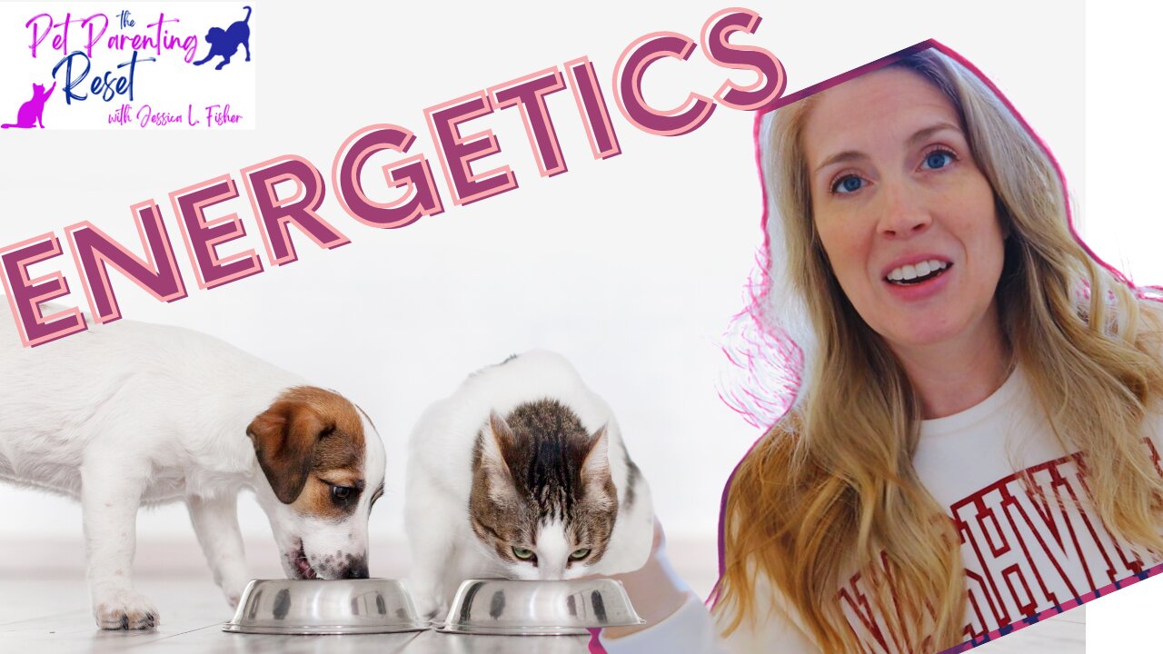 Are You Feeding Your Dog & Cat Wrong? Feeding Using Energetics