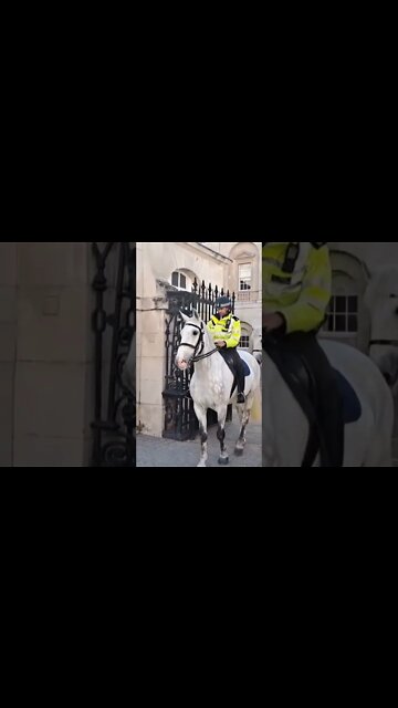 Beautiful grey police horses #horseguardsparade