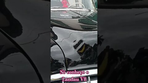 Landau V8 - Pinups