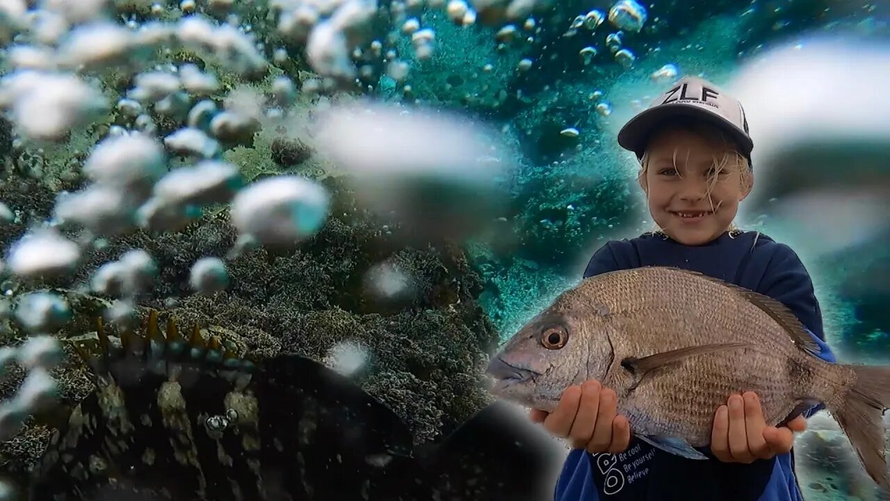 Fishing for reef fish in crystal clear water! taking my kids Fishing! The tide nearly stranded us!