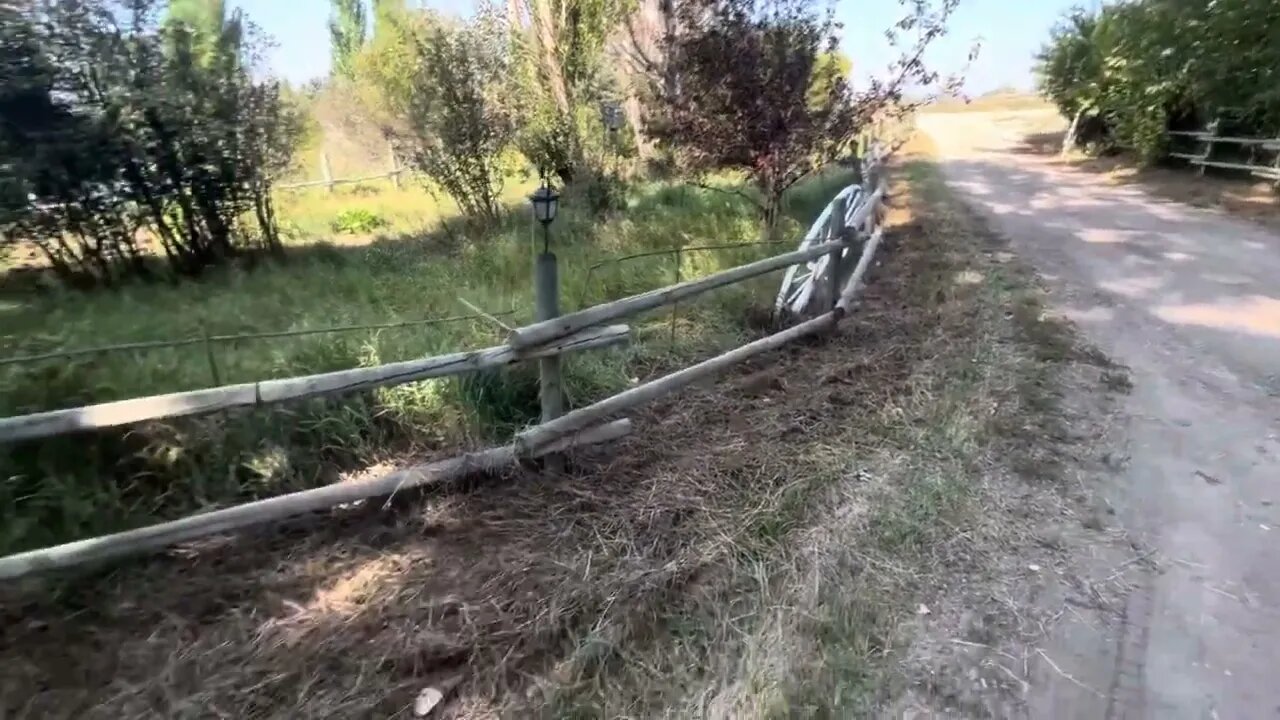 Collecting Hay for the Sheep by Hand!