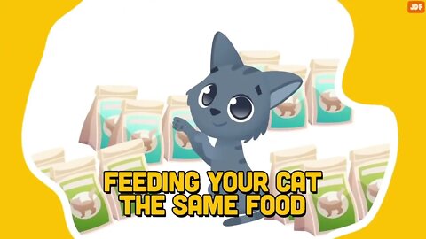 21 Ways You Are Hurting Your Cat Without Realizing