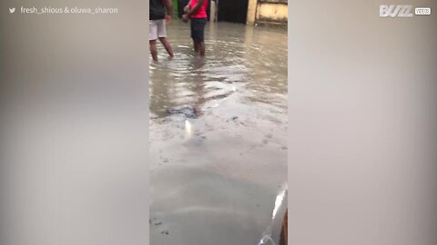 Le Nigéria frappé par de catastrophiques inondations