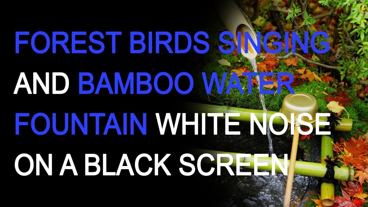 Forest Birds Singing & Bamboo Water Fountain | White Noise on a Black Screen