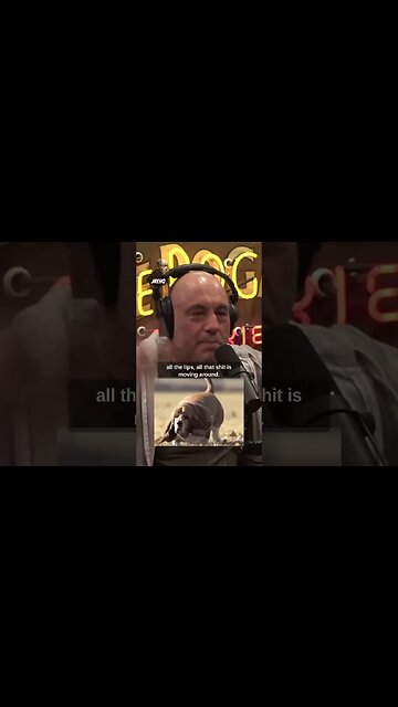 That's how blood hounds roll