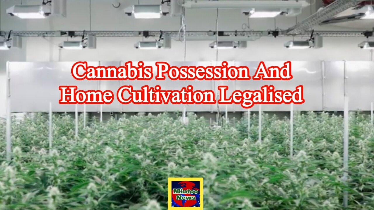 Germany legalises cannabis possession and home cultivation