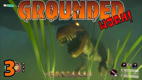 Pond Lab Cleared With A Close Call And Some Perfect Archery - Grounded Release - 3