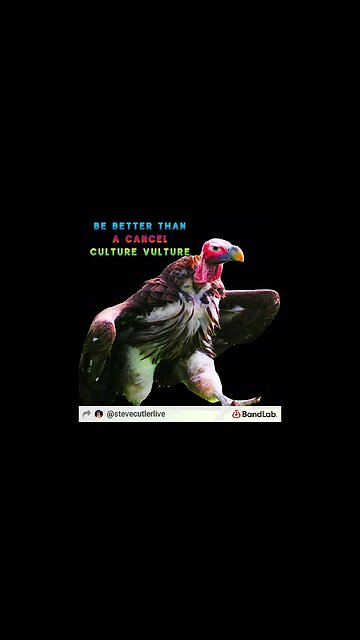 cancel cutler vulture by Steve Cutler Live aka LH