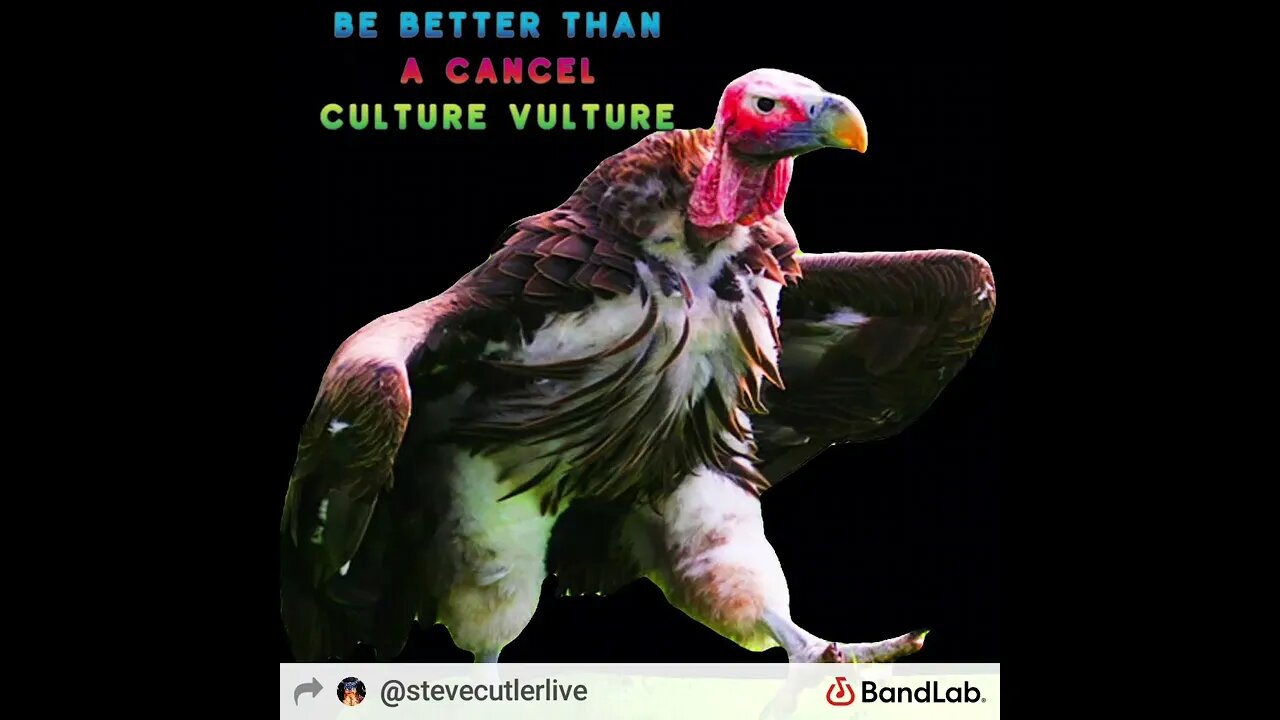 cancel cutler vulture by Steve Cutler Live aka LH