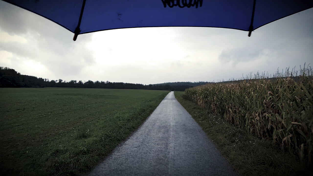 Stormy Corn And Pumpkin Fields - HALLOWEEN SPECIAL - ASMR Virtual Rain Walk No Music