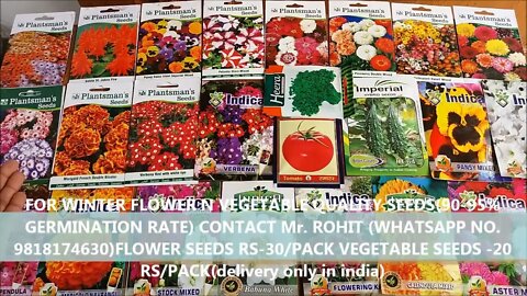 How To Grow Flower Seeds Fast (With Update)