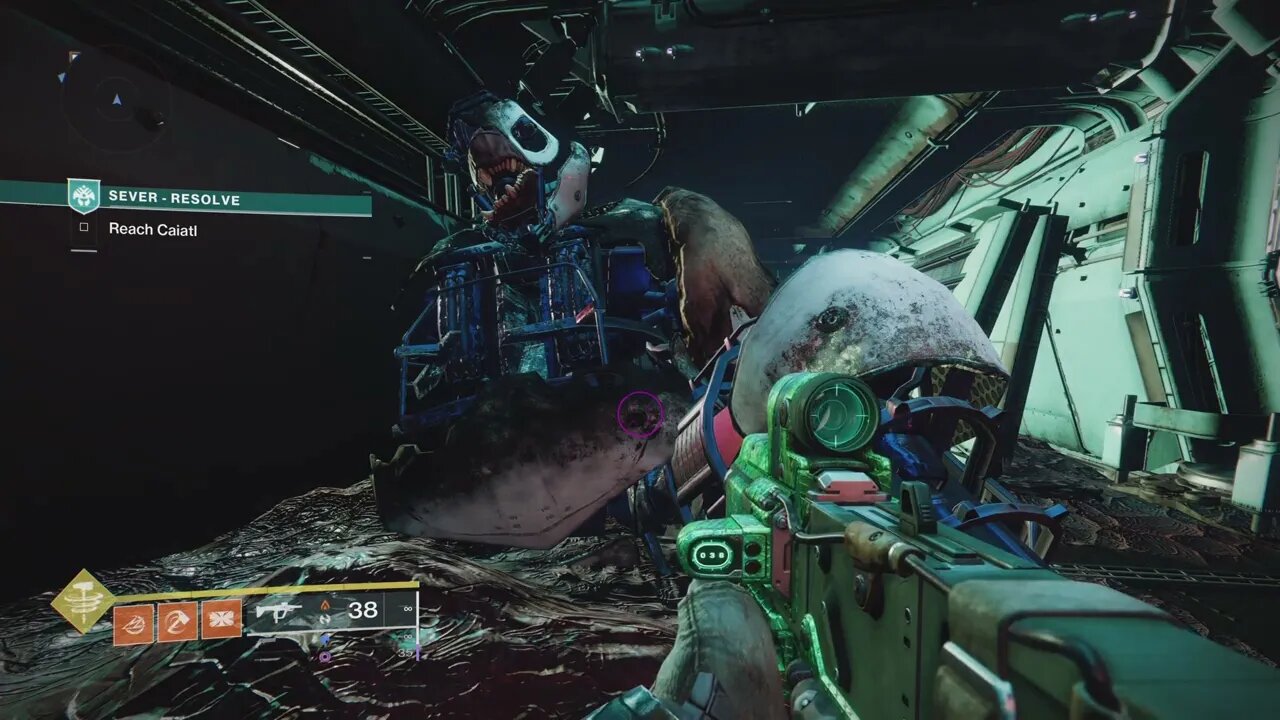 Calus automation sever resolve week 6