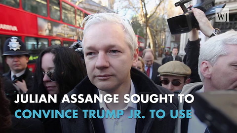 Assange Wanted Donald Trump Jr. To Publish Emails On WikiLeaks