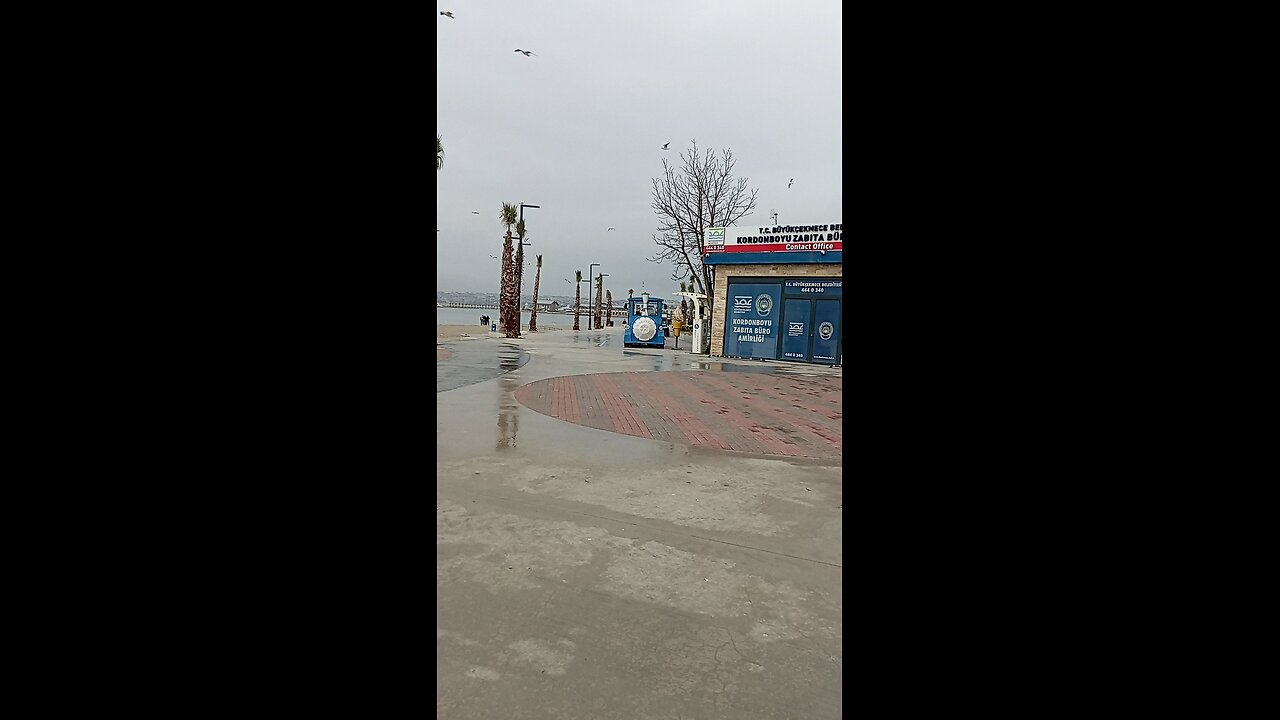 turkey sea