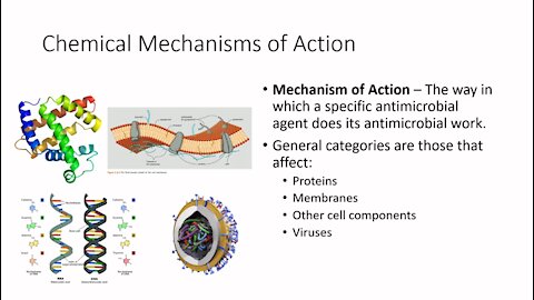 F21 Lecture 16 - Chapter 13 pt2