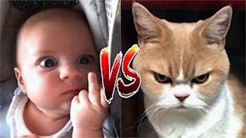 Funny Cats 🐱‍👤and Babys👶 Moments🤣