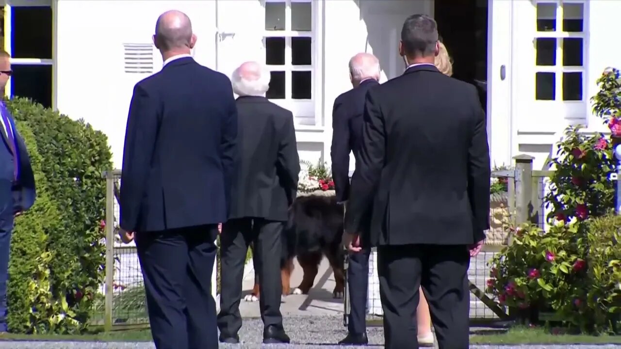 Yikes! Irish President's Dog Wanted Absolutely Nothing To Do With Joe Biden