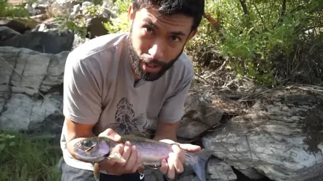 WILD @ TROUT @ and @ Cajun @ Crawfish Boil, ALONE in REMOTE WILDERNESS