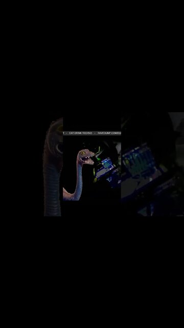 Bill Bobs to Techno 🍔 #techno #nice #tripy #tune #music #uk #london