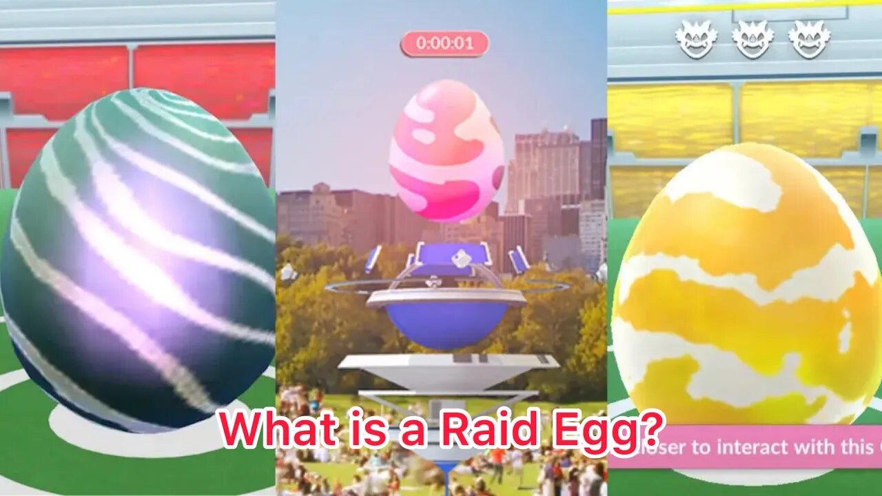 What is a Raid Egg?