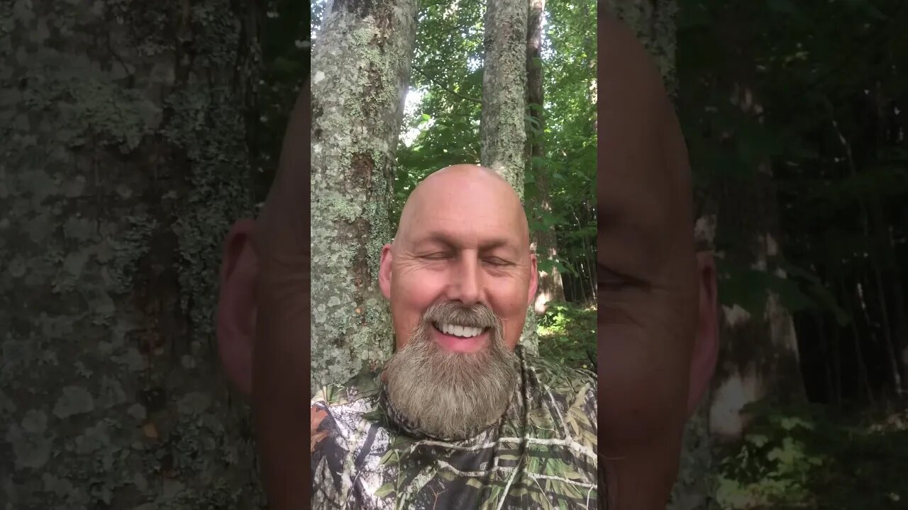 Catchy Hunter Phrases! #deerhunting #bowhunting #whitetaildeer #realtreeoutdoors #bowtech #shooting