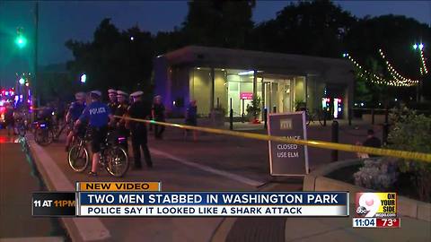 PD: 2 men stabbed at Washington Park