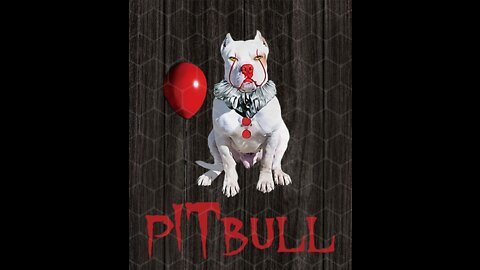 PITBULL DOG TRAINING