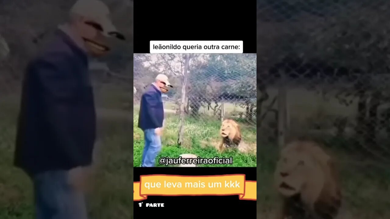 Dona morteonilda que leva mais um