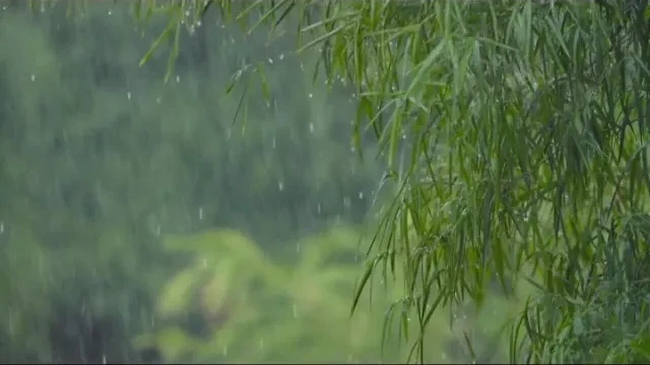 Rain Video To Help You Sleep 2023