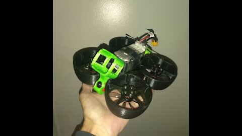 Printed (pla+) 3 inch race whoop