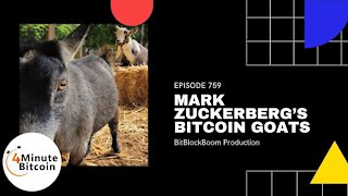 Mark Zuckerberg’s Bitcoin Goats