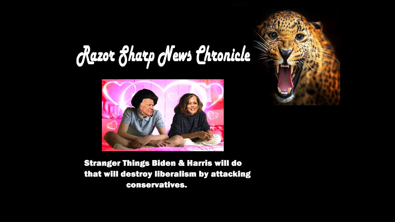 Stranger Things. . . Biden & Harris will do to destroy liberalism by attacking conservatives