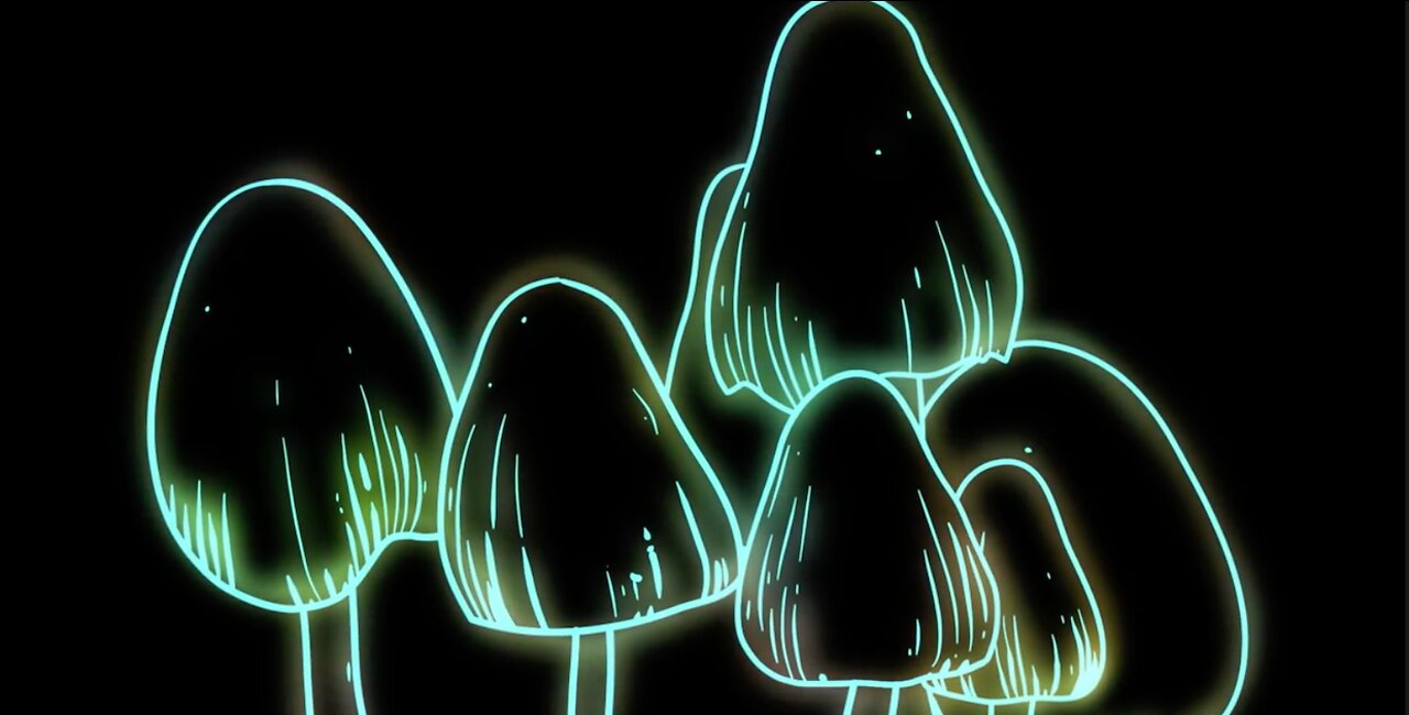 Oregon Legalises Magic Mushroom Treatment