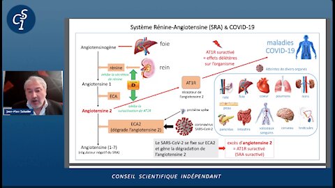 A VOIR !! Pr Jean-Marc Sabatier du CNRS: Vitamine D, Covid et "Vaccins"