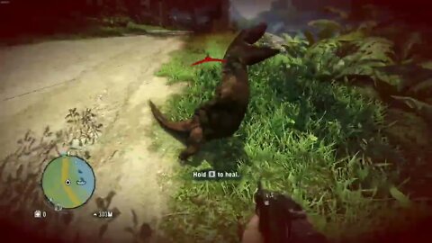 Didn't See Him There