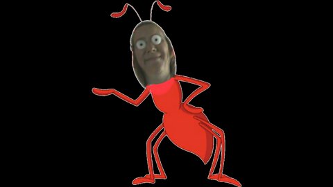 Ant Peggy