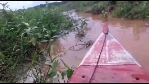 No idea where this is but I'm certain they have a crocodile infestation.