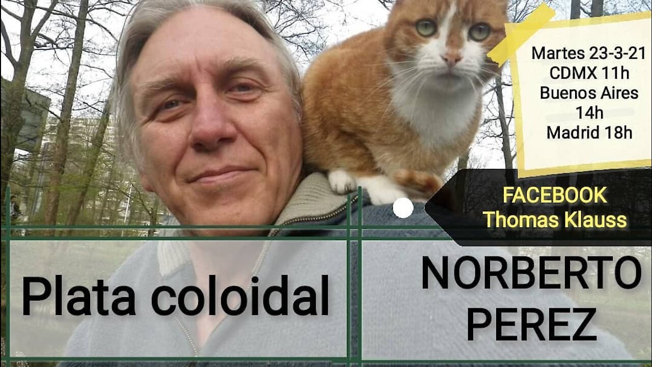 PLATA C0L01DAL Y C0V1D // Norberto Perez