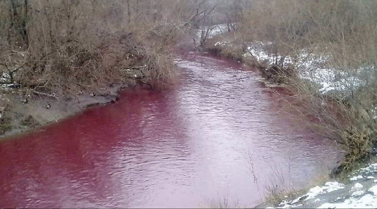 Alarm as rivers mysteriously turn blood red