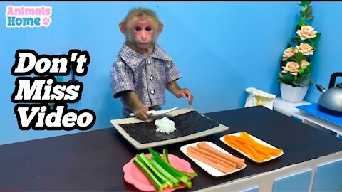 Smart BiBi Makes Sushi To Feed Amee ( Smart Monkey 🐒 )