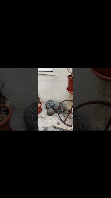 Patio Garden Oasis at Gibraltar Heritage Trust #shorts