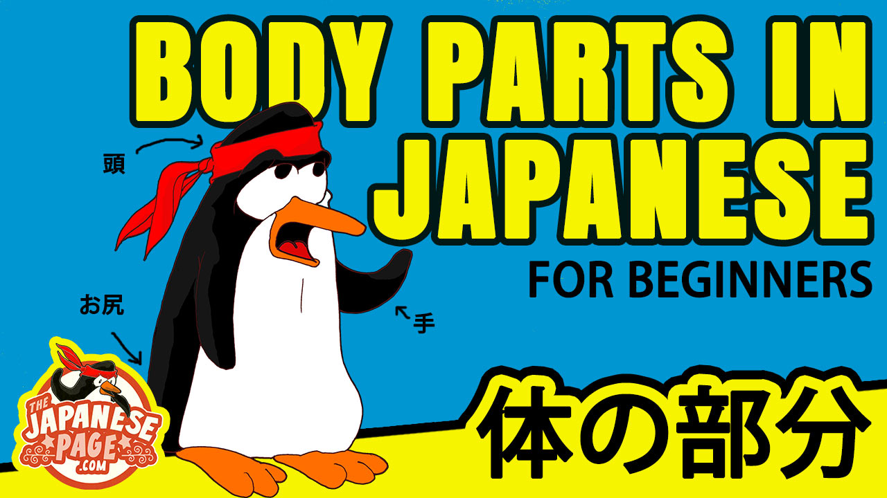 Body Parts in Japanese - Language Lesson for Beginners