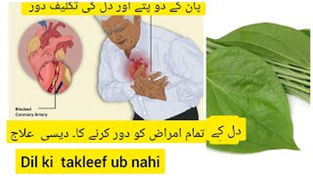 Heart disease,dil ki bimari ka ilaj, dil ka ghabrana ka ilaj,heart attack ka ilaj by API ji k ideas