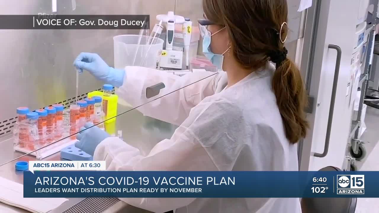 Arizona's COVID-19 vaccine plan