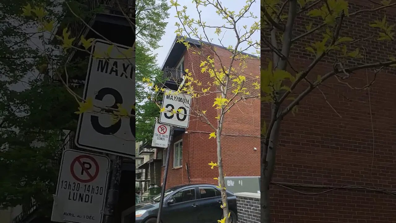 Tu Banke Hawa- High winds in montreal