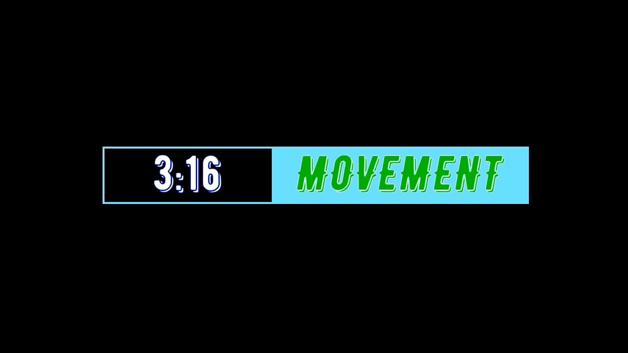 316 Movement 2024