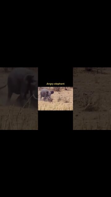 Most Amazing and trending video||relaxing your mind||trendig videos|| #shorts #trending #viral #live