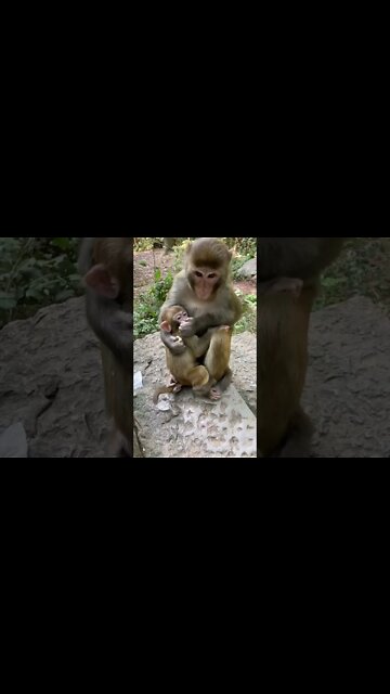 Most Amazing and trending video||relaxing your mind||trendig videos|| #shorts #trending #viral #live